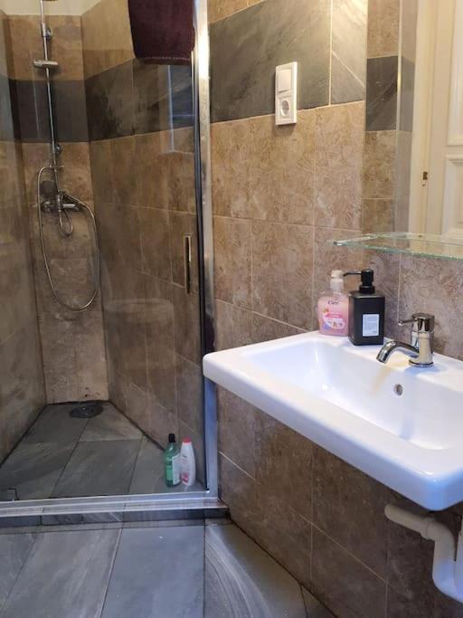 Queen Erzsebet Apartment Будапеща Екстериор снимка